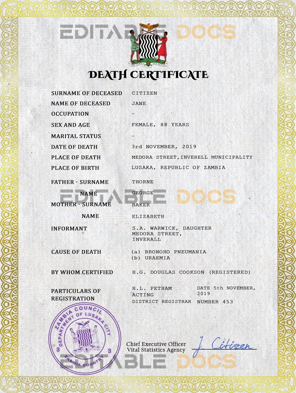 Customizable Zambia Death Certificate PSD Templates | Instant Download
