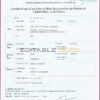 Authentic Zimbabwe Birth Certificate Template | Customize and Download Online