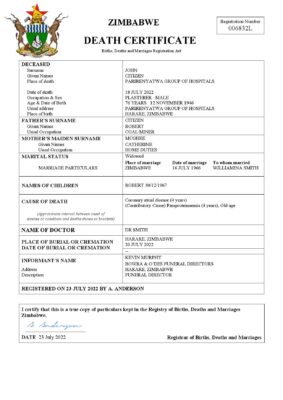 Zimbabwe vital record death certificate Word and PDF template