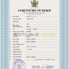 Customizable Zimbabwe Death Certificate PSD Templates | Instant Download