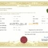 acute project Marriage Certificate | Editable PDF Templates