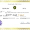 adore universal Marriage Certificate | Editable PDF Templates