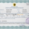 affection universal Marriage Certificate | Editable PSD Templates