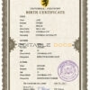 Authentic allied universal Birth Certificate PSD Template | Customize and Download Online