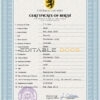 Authentic alpha awards Birth Certificate PSD Template | Customize and Download Online