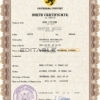 Authentic ammo universal Birth Certificate PSD Template | Customize and Download Online
