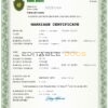 amore universal Marriage Certificate | Editable PDF Templates