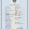 Customizable Arms Vision Vital Record Universal Death Certificate PSD Templates | Instant Download