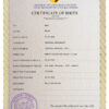 Authentic birthbia universal Birth Certificate PSD Template | Customize and Download Online
