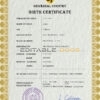 Authentic blackout universal Birth Certificate PSD Template | Customize and Download Online