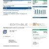 blue action universal multipurpose utility bill template in Word and PDF format