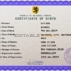 Authentic bold universal Birth Certificate PSD Template | Customize and Download Online