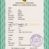 Authentic broadcast variety universal Birth Certificate PSD Template | Customize and Download Online