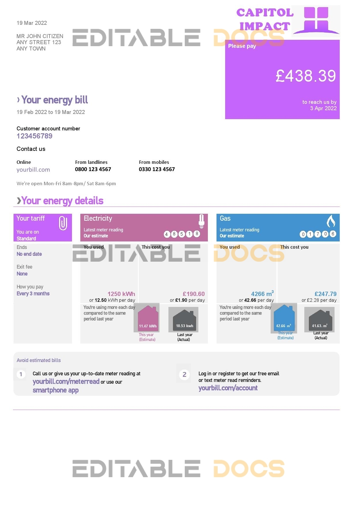 capitol imact universal multipurpose utility bill template in Word and PDF format