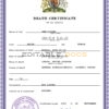 Customizable Certificate Expert Vital Record Universal Death Certificate PSD Templates | Instant Download