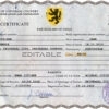 Authentic champion vibe universal Birth Certificate PSD Template | Customize and Download Online