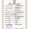 Customizable Coat Optimum Universal Death Certificate PSD Templates | Instant Download