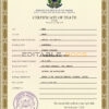 Customizable Coat Super Vital Record Universal Death Certificate PSD Templates | Instant Download