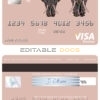 Editable colored elephant universal visa electron card Templates in PSD Format