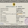 Customizable Deathprism Universal Death Certificate PSD Templates | Instant Download