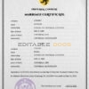 destiny universal Marriage Certificate | Editable PSD Templates