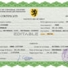 Authentic dime project universal Birth Certificate PSD Template | Customize and Download Online