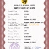 Authentic disclosure universal Birth Certificate PSD Template | Customize and Download Online