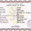 Authentic discover universal Birth Certificate PSD Template | Customize and Download Online