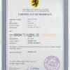 experienced universal Marriage Certificate | Editable PSD Templates