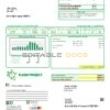 flash project universal multipurpose utility bill template in Word and PDF format