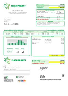 flash project universal multipurpose utility bill template in Word and PDF format