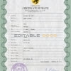 Customizable flight Death Certificate PSD Templates | Instant Download