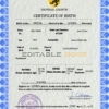 Authentic flow universal Birth Certificate PSD Template | Customize and Download Online