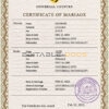 flutter universal Marriage Certificate | Editable PSD Templates
