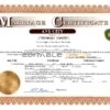 forever universal Marriage Certificate | Editable PDF Templates