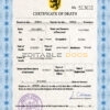 Customizable foster Death Certificate PSD Templates | Instant Download