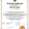 gloss universal Marriage Certificate | Editable PDF Templates