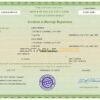 green universal Marriage Certificate | Editable PDF Templates