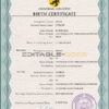 Authentic honor universal Birth Certificate PSD Template | Customize and Download Online
