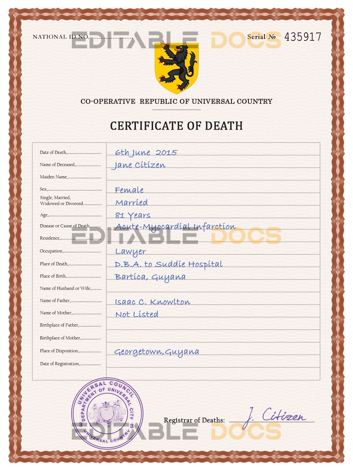 Customizable Horizon Vital Record Universal Death Certificate PSD Templates | Instant Download
