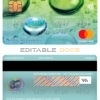 Fillable india IDBI bank mastercard Templates | Layer-Based PSD