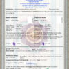 india Marriage Certificate | Editable PSD Templates