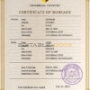 license universal Marriage Certificate | Editable PSD Templates