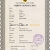 Authentic limitless split universal Birth Certificate PSD Template | Customize and Download Online