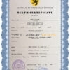 Authentic loop editor universal Birth Certificate PSD Template | Customize and Download Online