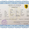 Authentic made universal Birth Certificate PSD Template | Customize and Download Online