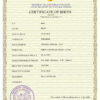 Authentic master accord Birth Certificate PSD Template | Customize and Download Online