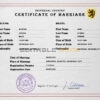 micro universal Marriage Certificate | Editable PSD Templates
