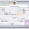 Customizable Of Deluxe Universal Death Certificate PSD Templates | Instant Download