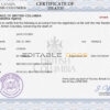 Customizable Of Integrity Universal Death Certificate PSD Templates | Instant Download